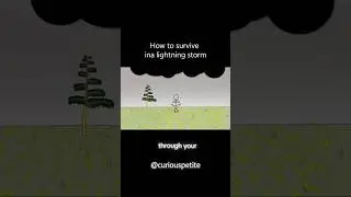 How to Survive a Lightning Storm: The Surprising Science of Safety