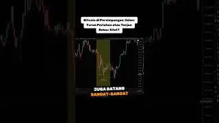 Bitcoin di Persimpangan Jalan: Turun Perlahan atau Terjun Bebas Kilat?