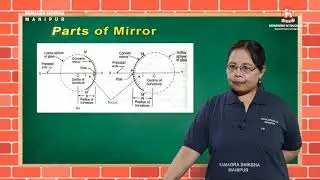 Class XII Physics Unit VI Optics (Part 1 of 12): Reflection of light