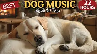 22 HOURS of Dog Calming Music💖🐶Healing Dog Sleep Sounds🐶Dog Deep Relaxation Music💖⭐HealingMate