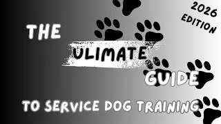 The Ultimate Service Dog Guide: Everything You Need to Know