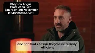 Phepson Angus Premier Production Sale