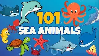 Learn 101 Amazing Sea Animals 🐙| Ocean Fun for Kids!