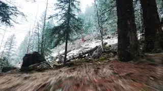 Flight Vlog #44 - Cold misty morning forest flying (@ the cabin) - DJI NEO2