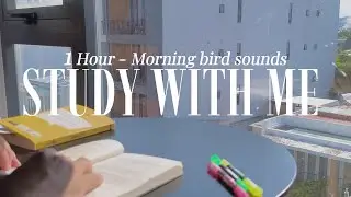 1 Hour study with me 🐦 BIRD SOUND, no break, window view, focus on studying - Day 22