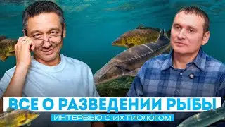 САМЫЕ ПОПУЛЯРНЫЕ ВОПРОСЫ ИХТИОЛОГУ. ВСЕ О РАЗВЕДЕНИИ РЫБЫ. ЧАСТЬ-1 #2026