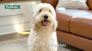 PetSafe&reg; ScatMat&reg; Indoor Training Mat