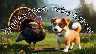 Farm Fun! Goat, Turkey & Sheep