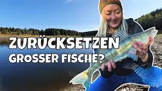 ENTNAHMEFENSTER für GANZ Deutschland❓ | Heyfishing fragt nach - im Gespräch mit Dr. Matthias Emmrich