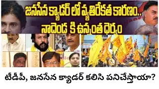 TDP cadre and Jana Sena cadre are not happy with the seat sharing #bharateeudunews