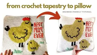 Mama Bird Crochet Tapestry Pillow Tutorial for Beginners | Easy Step-by-Step Guide