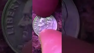 2004 D ROOSEVELT DIME: 1,159,500,000 MINTED