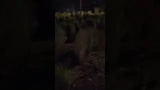 #albida #park night view #shortvideo #qatar #viral