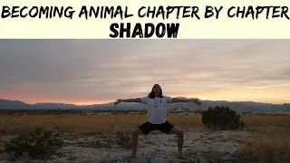 David Abram on Shadows
