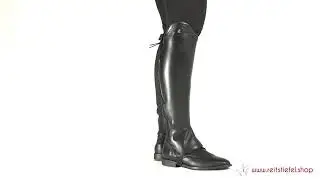 Cavallo Slim Chap Brogue