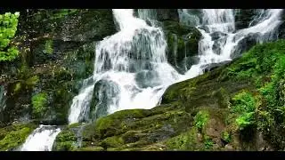 Relaxsing Flowing water & bird sound