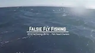 Falsie Fly Fishing - Fly Fishing For False Albacore - LBI, NJ