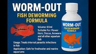 Worm-Out Fish Deworming Formula | For Flower Horn, Discus, Arowana & all fish #COLOURFUL #C934
