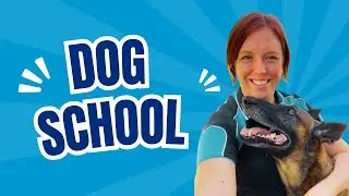 Inside Our Virtual Dog Training Course &ndash; Full Walkthrough & Demo