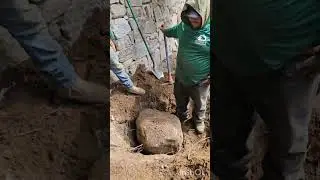 getting the potatoes 🥔 out #planting #tree #shorts #dubonslandscaping #garden #tutorial #remix
