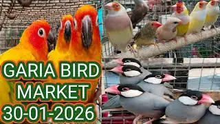 Garia Bird Market Price Update Today. গড়িয়া পাখির হাটে আজকের দাম জানাবো। Garia Bird Market Price.