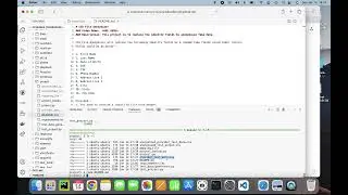 CS50P Project// Data Anonymizer
