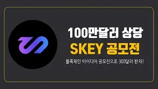 100만달러 상당의 블록체인 공모전 나도 받을 수 있을까? SKEY NETWORK