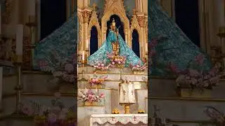 #catholic #mary #virginmary #immaculateconception #bandra #madonna #mumbai #feast #basilica