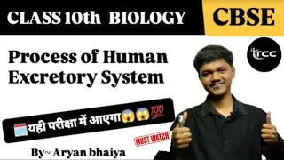 Process of Human Excretory System 🔥|  यही से परीक्षा में आएगा😱😱| by ~ Aryan bhaiya 