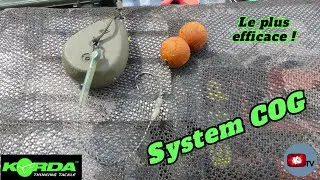 COG - Une efficacité incontournable !