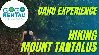 Experience Oahu: Hiking Mount Tantalus || Romping Around Moleka & 'Ualaka'a Trails