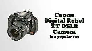 Cheapest DSLR Cameras - Canon Digital Rebel XT DSLR Camera Reviews