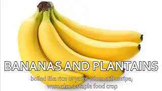 Food and Farming of Pre-colonial Cebu