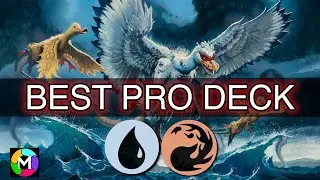 This 9-1 Pro Tour Deck is Budget-Friendly! 🌊🔥 (MTG Arena Standard Deck)