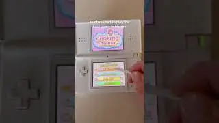 Я нашел свою Nintendo DS Lite!