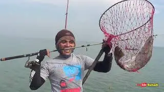 Strike Kakap 4kg Bagan Mang Daud Lapak si Madu Emang Josssss😀😀😀