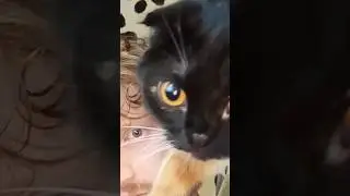 В конце меня уделали🦐