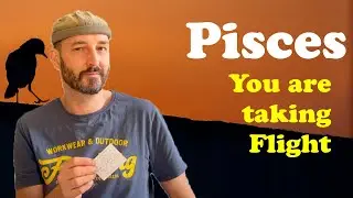 Pisces - FREE DOM - do what you love - what makes Sense to YOU - forget Labels
