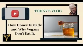 Why Vegans Don&rsquo;t Eat Honey