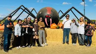 Pumpkin Patch 2024 - Cool Patch Dixon, CA