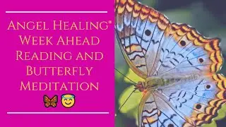 Angel Healing&reg; Week Ahead Reading and Butterfly Meditation🦋😇