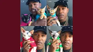 The Cat Rapper