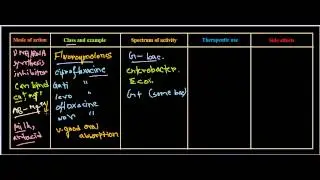 fluoroquinolones antibiotics