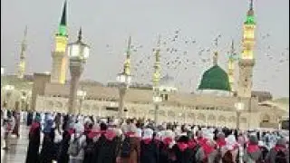 Roza Rasool ﷺ Ki Pur Noor Ziyarat | Maghrib Time Masjid Nabawi