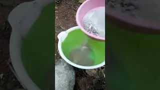 Ciri batu ber-Emas dan cara mengambil emasnya