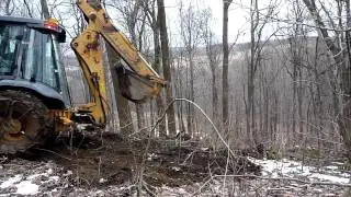 Backhoe Clearing Way to Push Over a Tree