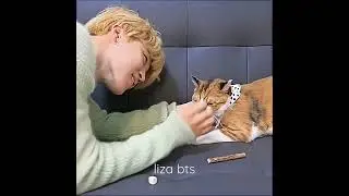 Чимин, гладящий кошку - это самое милое!