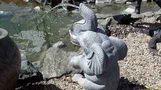 Elephant sculpture outoor water fountain