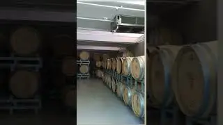 Urla Vineyard Views | Nature & Wine in Urla, İzmir, Turkey