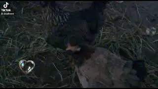 Chickens Steel Soul my pet